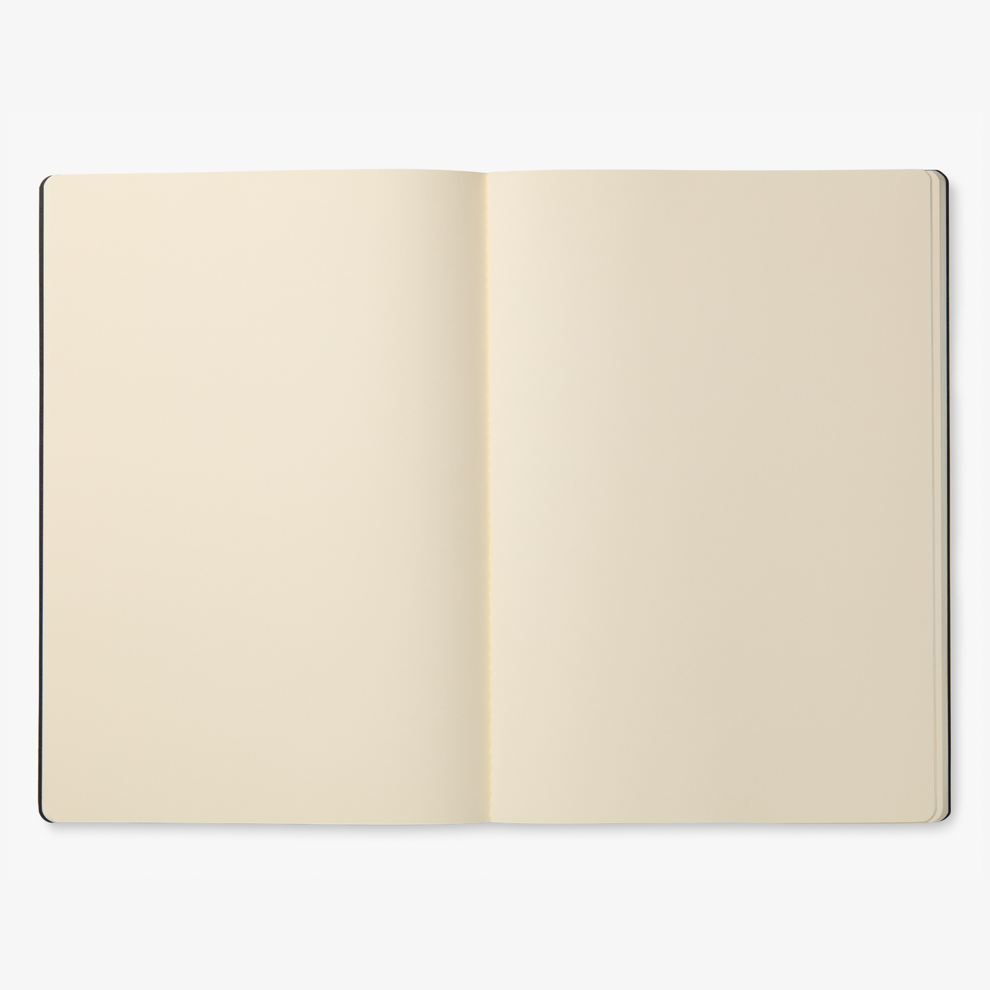 VISCONTI - Homo Sapiens 210x297 ბლოკნოტი